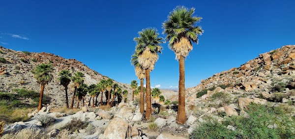 Anza-Borrego Desert State Park