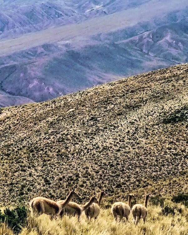 Serranía de Hornocal 2