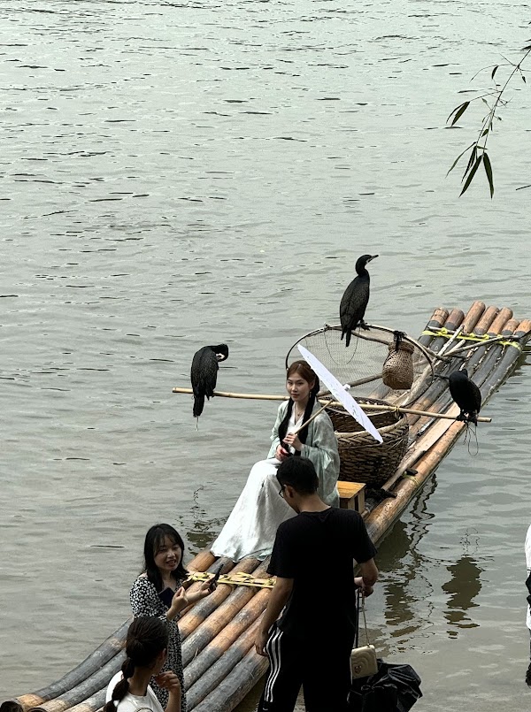 20 Yuan Pattern Viewing Platform 4