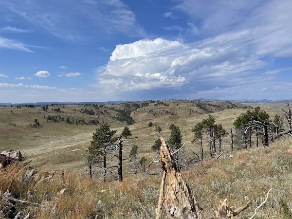 Wind Cave National Park 3