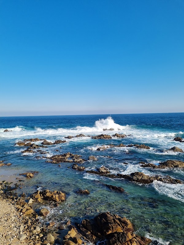 죽변 해안 스카이레일 4