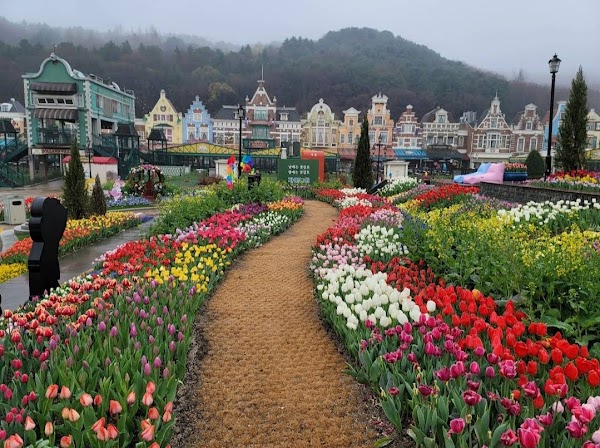 Everland 1