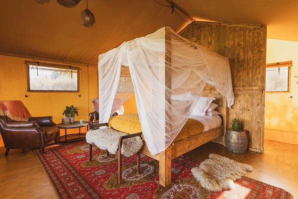 Kapiti Glamping Adventures with Canopy Camping 5