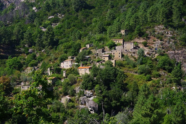 Muna