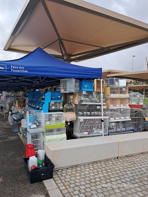 Feira da vandoma