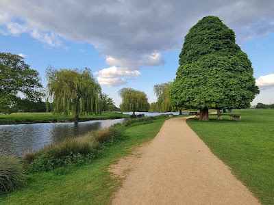 Bushy Park 1