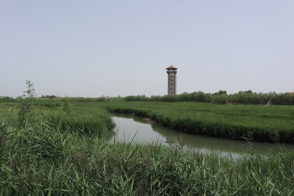 Zhangye National Wetland Park