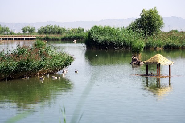 Zhangye National Wetland Park 2
