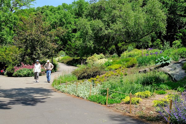 Heather Garden