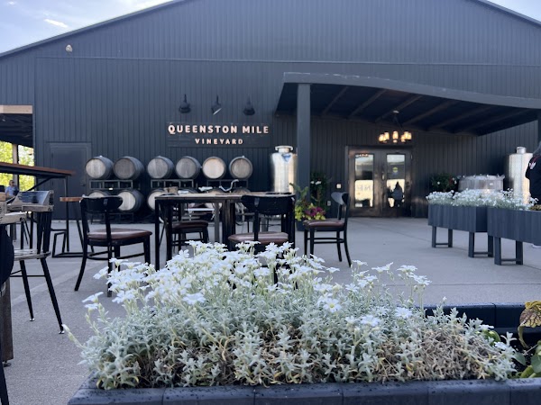 Queenston Mile Vineyard 5