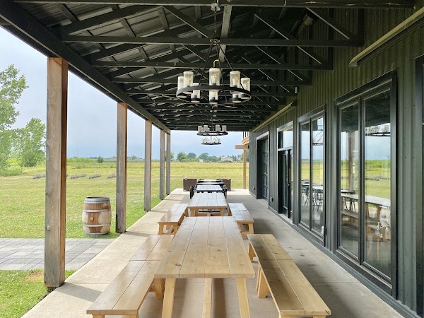 Queenston Mile Vineyard 3