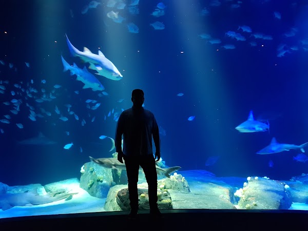 New York Aquarium 5