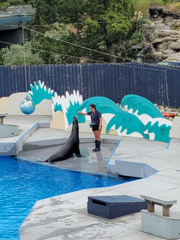 New York Aquarium 4