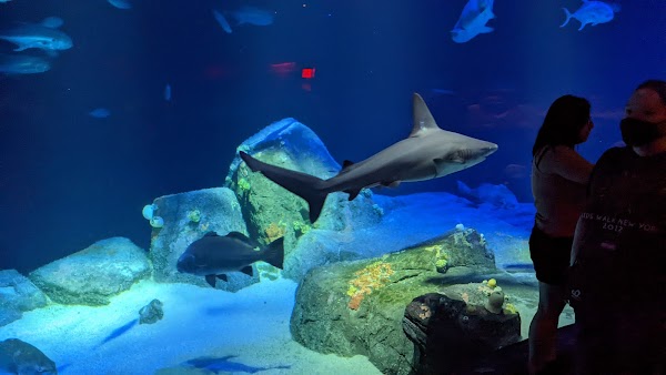 New York Aquarium 2