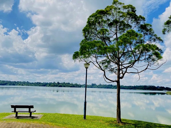 Upper Seletar Reservoir Park 4