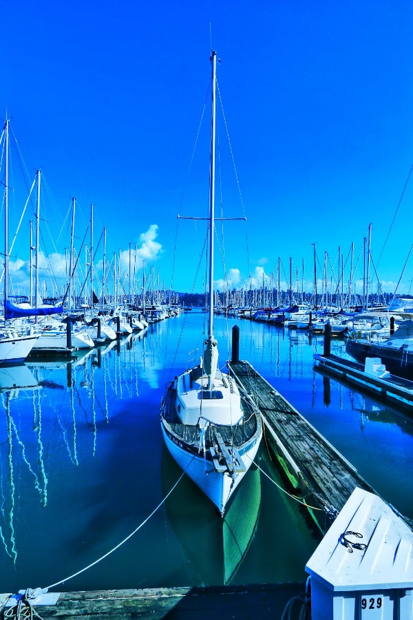 Sausalito Yacht Harbor