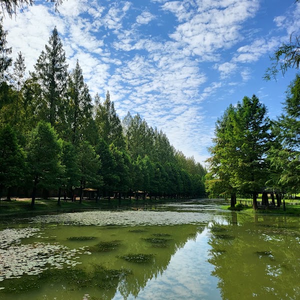 Frog Ecological Park 1