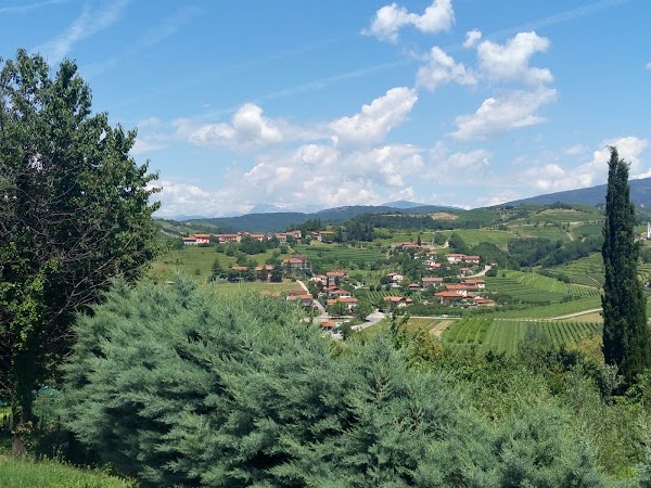 Slovenien 50