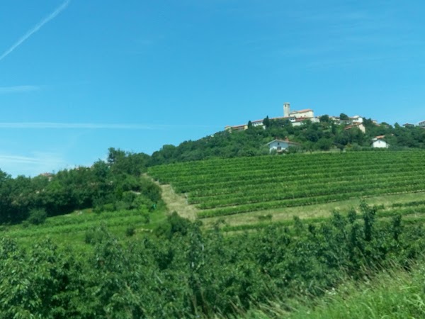 Dobrovo 4