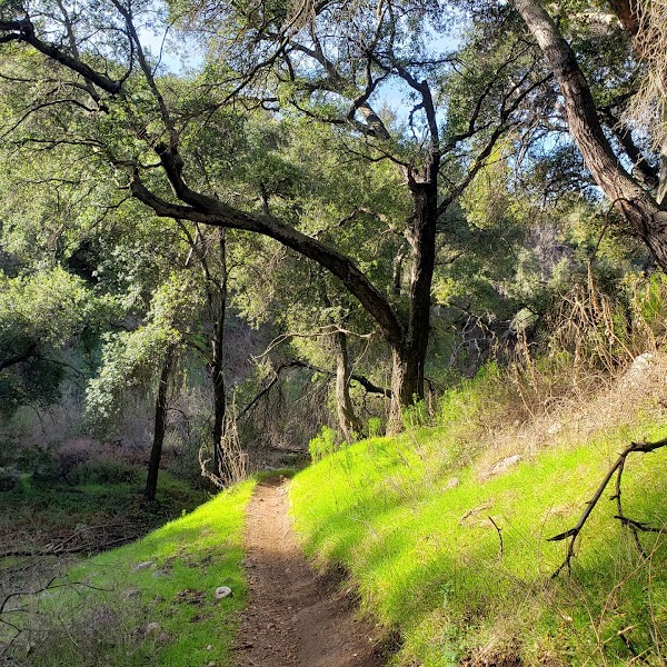 El Prieto Canyon