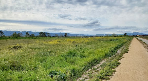 Livermore 3