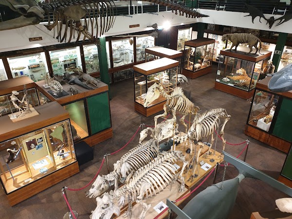 University of Aberdeen Zoology Museum 1