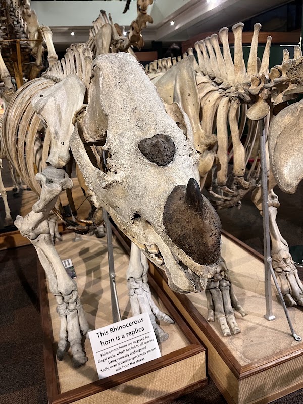 University of Aberdeen Zoology Museum 2