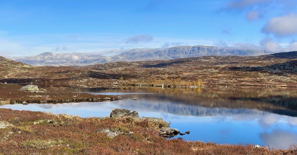Hallingskarvet nasjonalpark