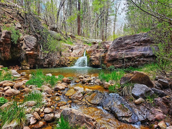 Horton Creek Trailhead