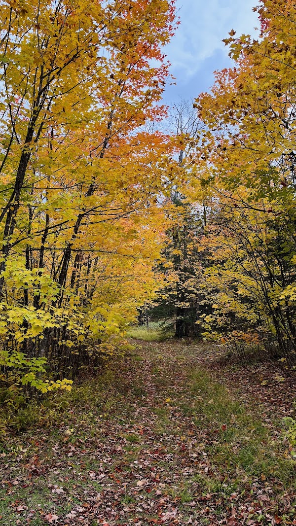 Crescent Lake Trail