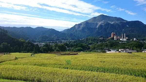 Terasaka Rice Terrace