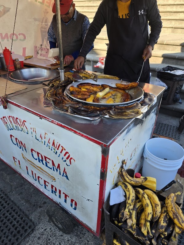 Platanitos el lucerito 2