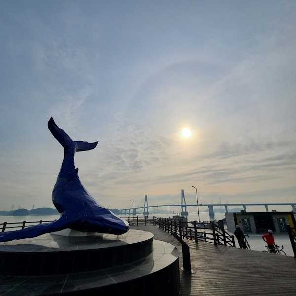 Sky Whale Observatory