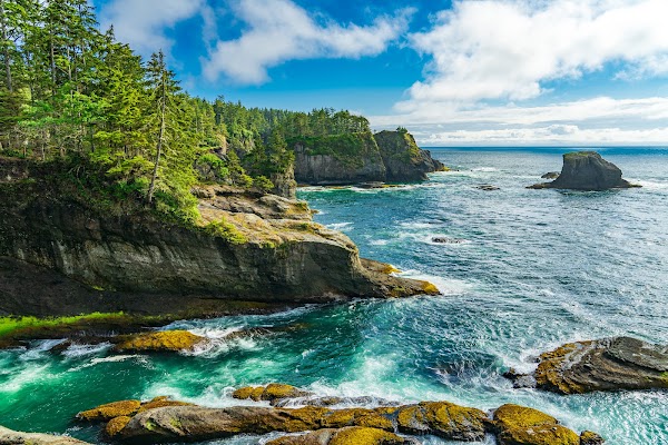 Cape Flattery 5
