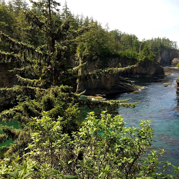 Cape Flattery 4