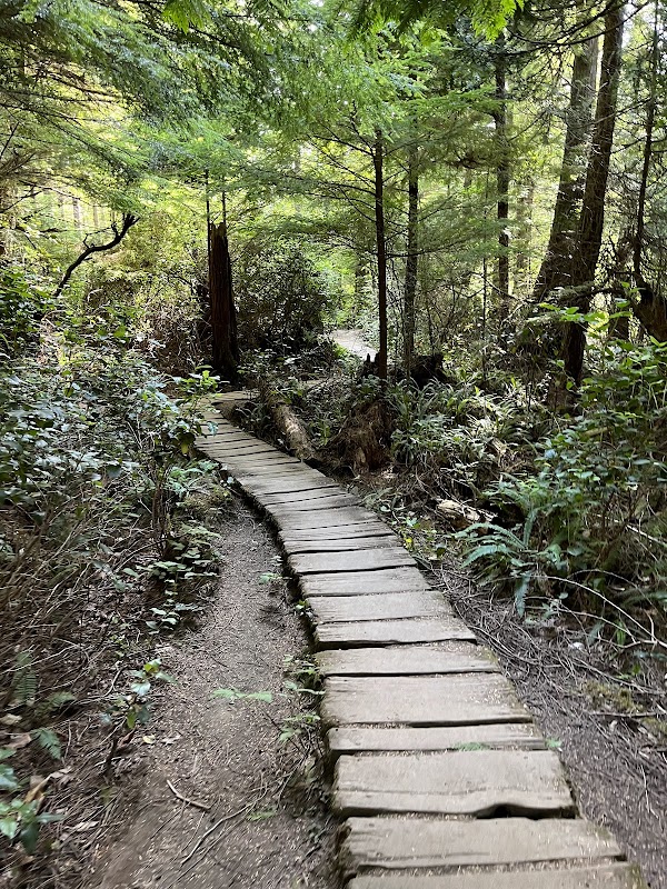 Cape Flattery 2