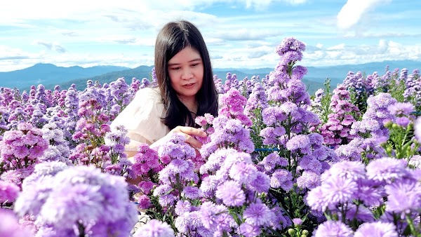 Ying Yong Flower Garden 5