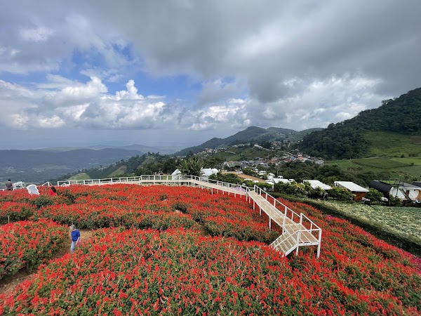 Ying Yong Flower Garden 3
