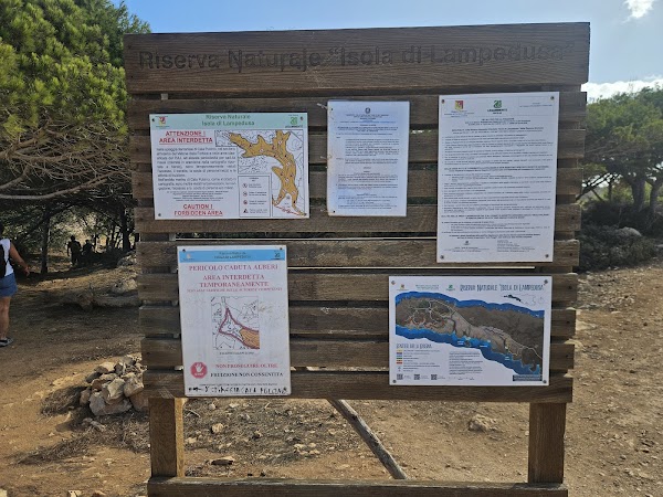 Cala Pulcino 3