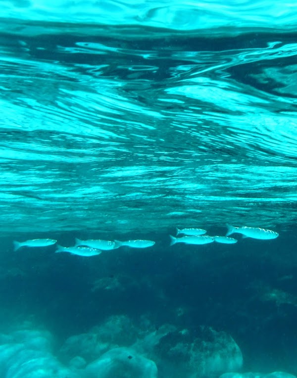 Cala Pulcino 2