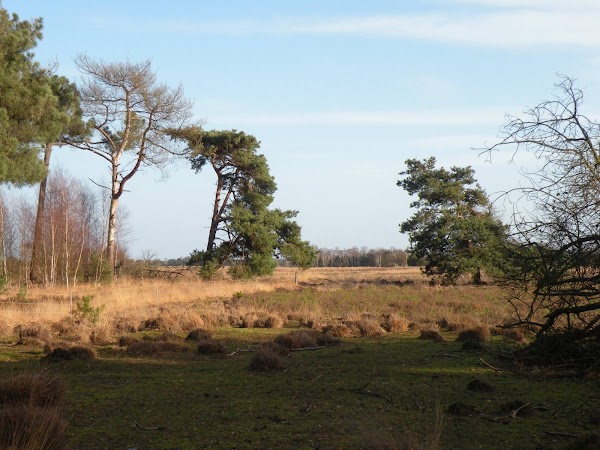 Herbertusbossen 1