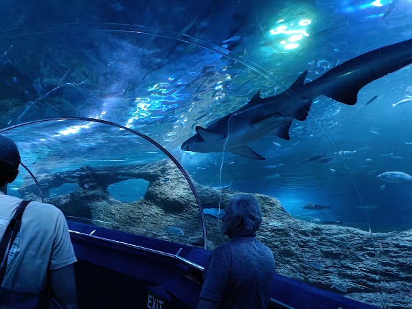 AQWA The Aquarium Of Western Australia 4