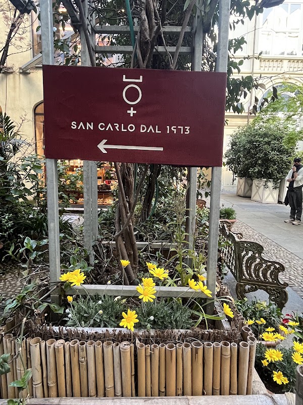 Testa Rovesciata del David 3