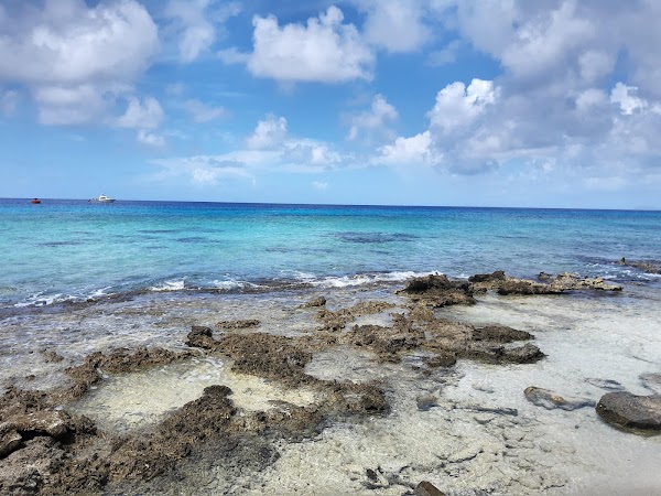 Salt Pier (49) 3