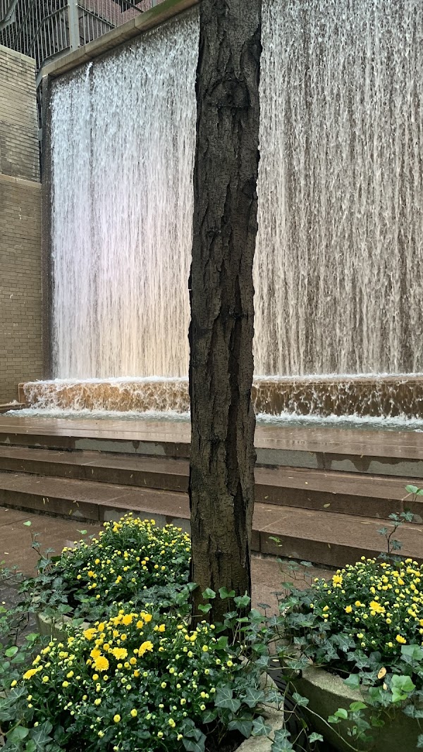 Paley Park 4