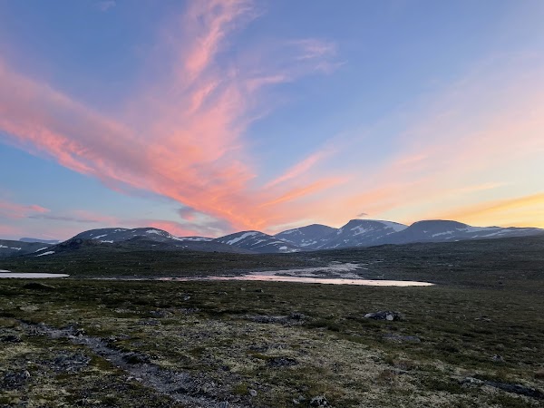 Dovrefjell–Sunndalsfjella National Park 3