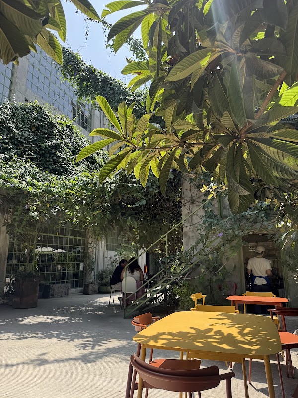 CDMX 4