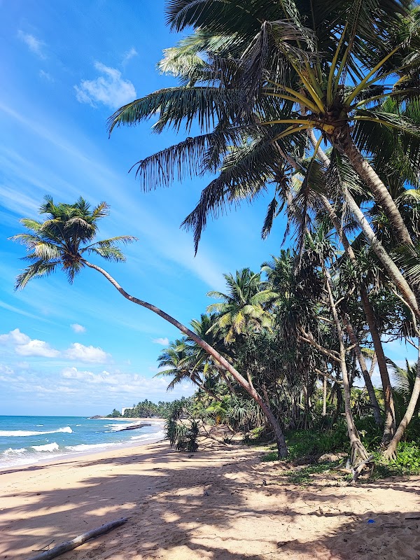 Induruwa Beach