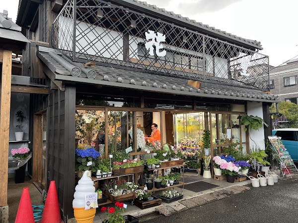 Hanaju 1