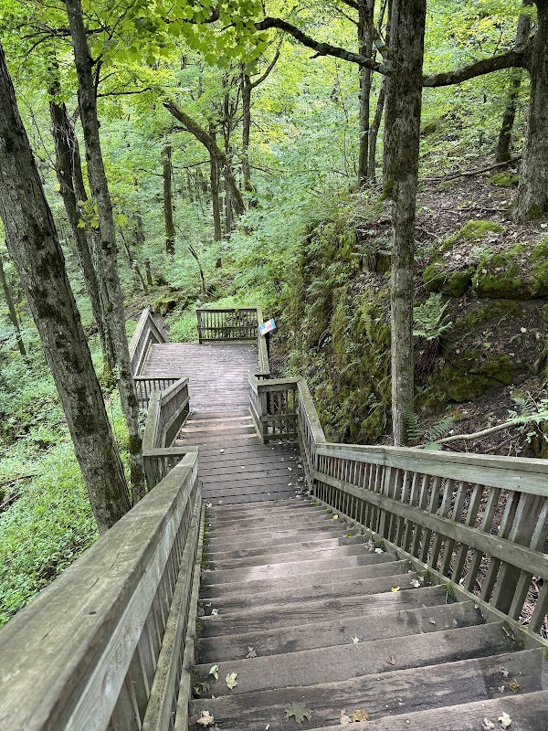 Mono Cliffs Provincial Park (Reservation Required) 5